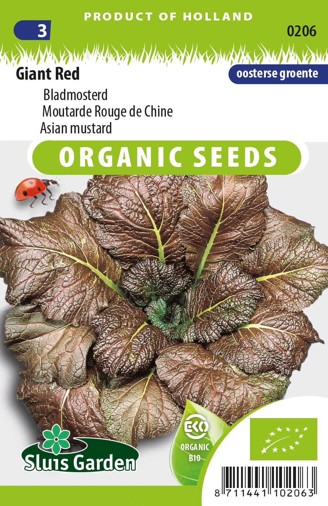 Moutarde rouge de Chine Red Giant BIO