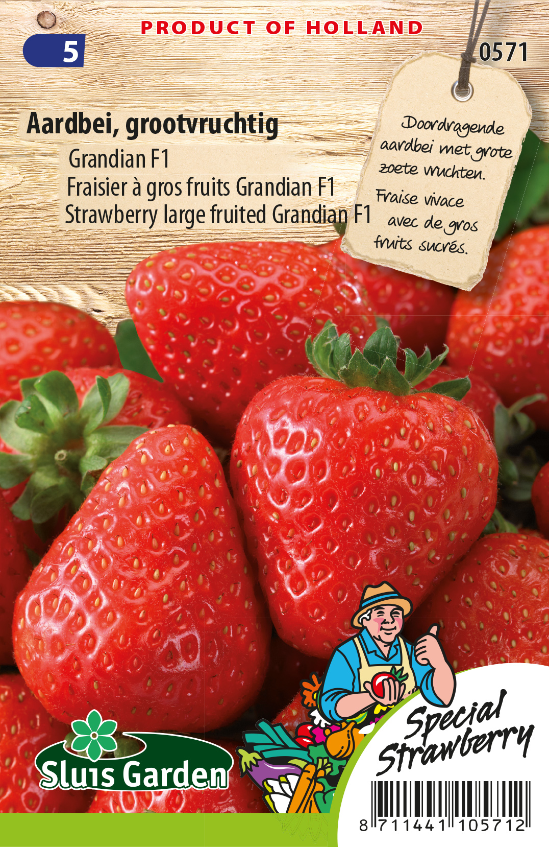 Fraisier Ã  gros fruit Grandian F1