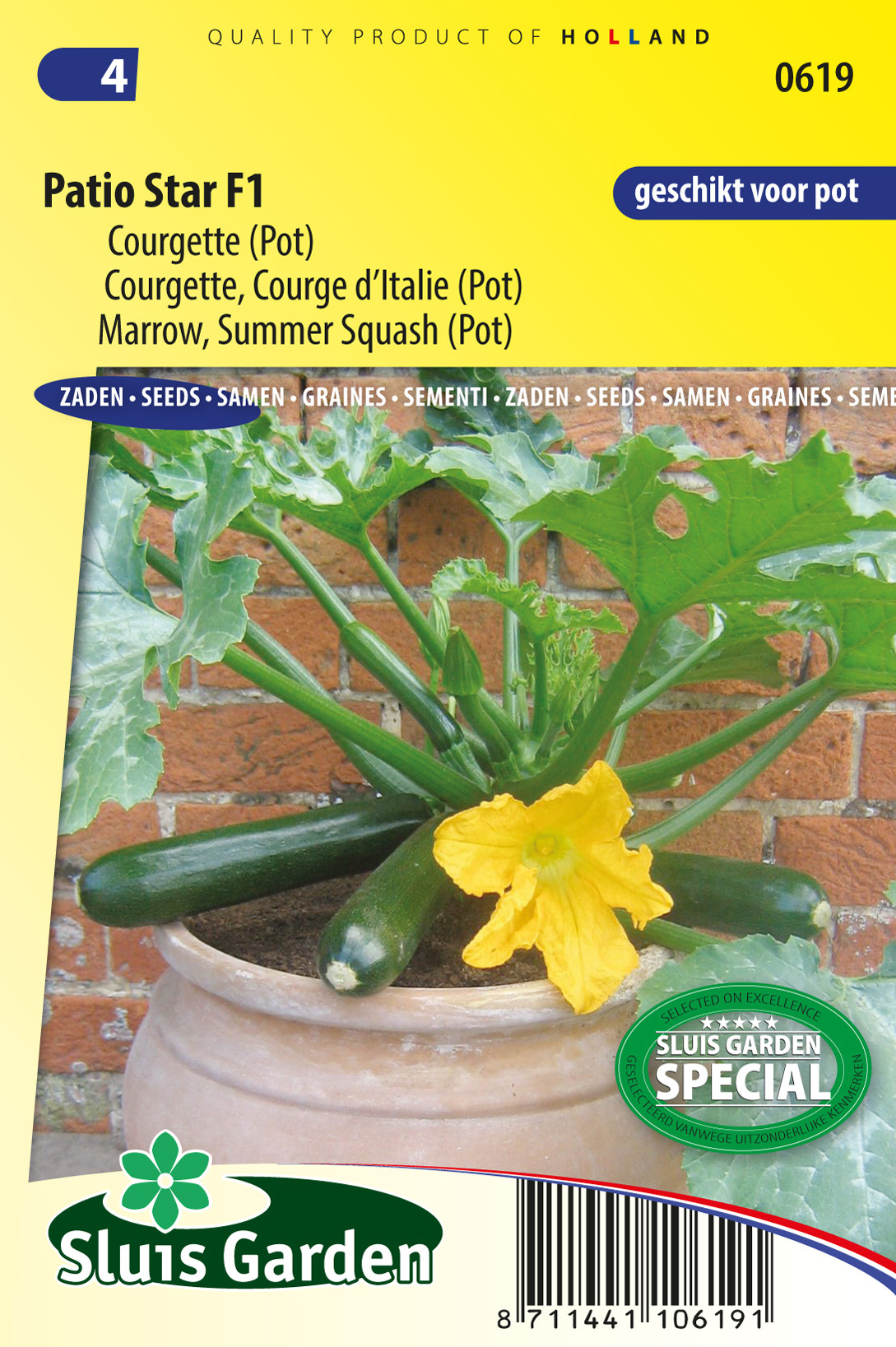 Courgette Patio Star F1 (Pot)