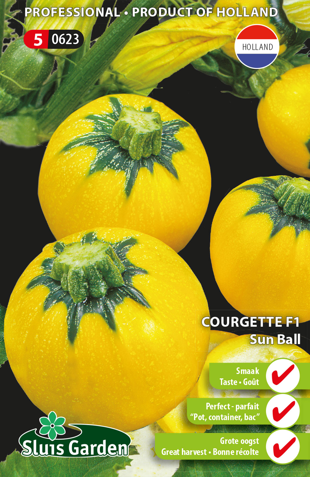 Courgette Sun  Ball F1