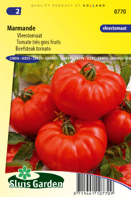 Tomate beefsteak Marmande