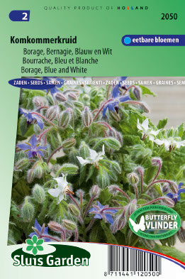 Borage Blauw en wit (Borago officinalis)