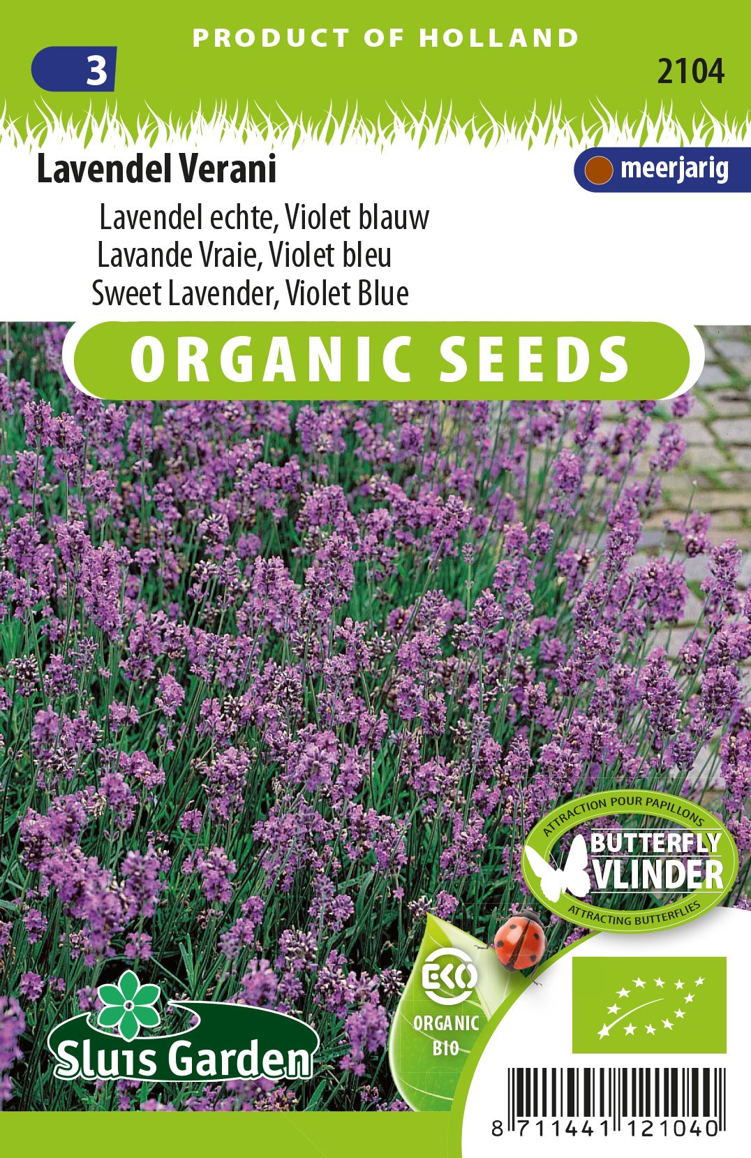 Lavendel Echte (Lavendula vera) BIO