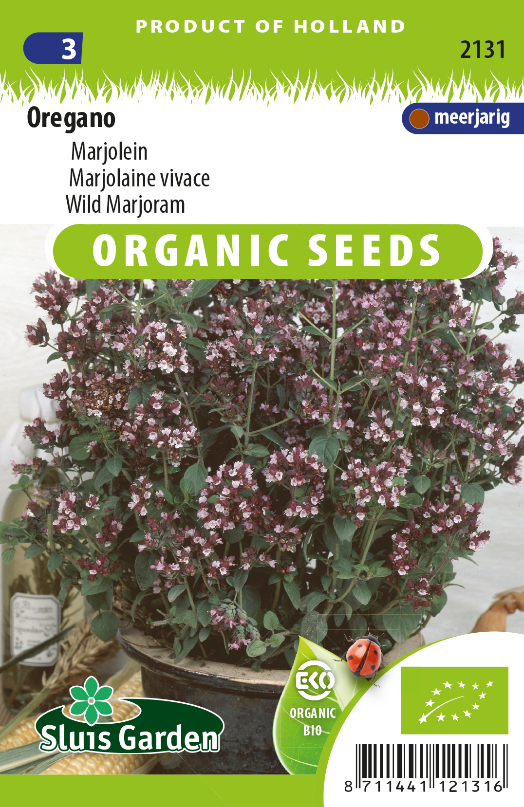 Oregano, Marjolaine vivace (Origanum vulgaris) BIO