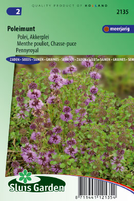 Mentha pouliot, Chasse-puce