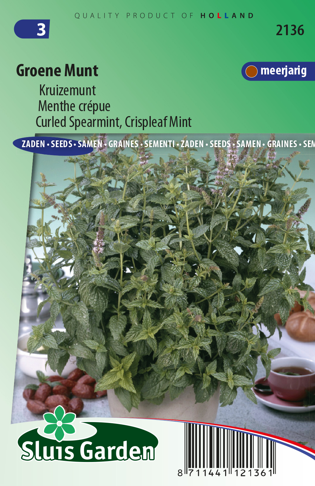 Groene Munt, (Mentha spicata crispa)