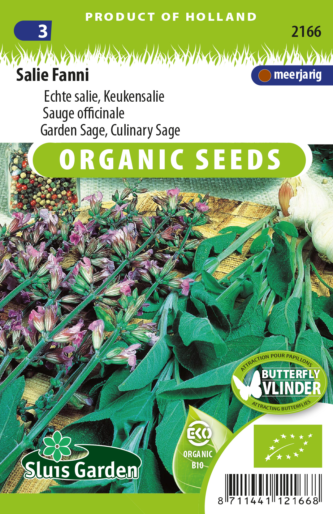 Salie (Salvia officinalis) BIO