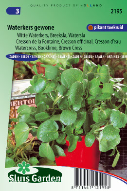 Waterkers Gewone (Nasturtium officinale)