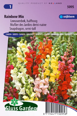 Antirrhinum majus nanum Rainbow mix