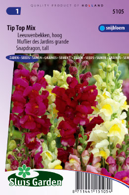 Antirrhinum majus maximum Tip Top mix