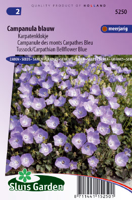 Campanula carpatica Coerulea blauw
