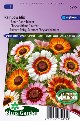 Chrysanthemum carinatum Rainbow mix