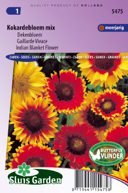 Gaillardia aristata Choice mix