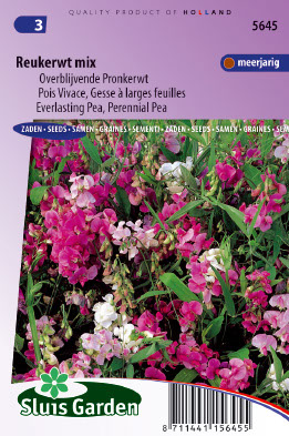 Lathyrus latifolius Overblijv. Gemengd