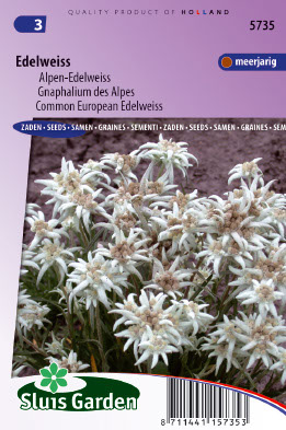 Leontopodium alpinum Alpen-Edelweiss