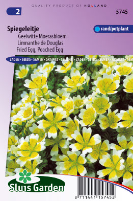 Limnanthes douglasii Spiegeleitje