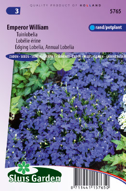 Lobelia erinus compacta Keizer Wilhelm