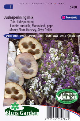 Lunaria annua Tuinjudaspenning mix