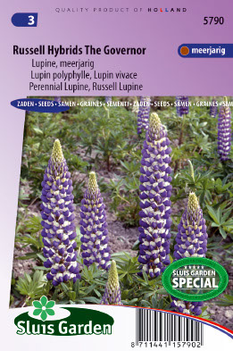 Lupinus polyphyllus Russell H. The Governor