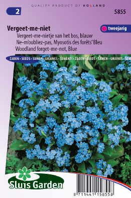 Myosotis sylvatica Indigo blauw