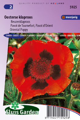 Papaver oriÃ«ntale Scharlakenrood