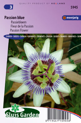 Passiflora coerulea Hemelsblauw