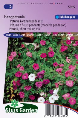 Petunia x hybride pendula Choice mixed
