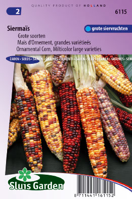 Zea mays Multicolour hybrids mix