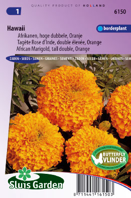 Tagetes erecta Hawai