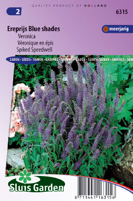 Veronica spicata Blauw