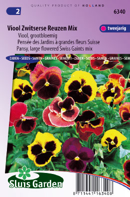 Viola x wittrockiana Zwitserse Reuzen gemengd
