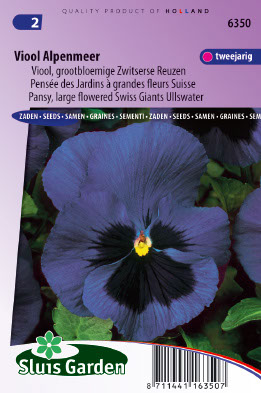 Viola x wittrockiana Ullswater/Alpenmeer
