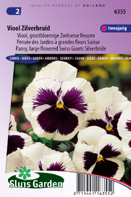 Viola x wittrockiana Zilverbruid