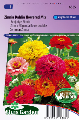 Zinnia elegans Dahliabloemige Reuzen mix