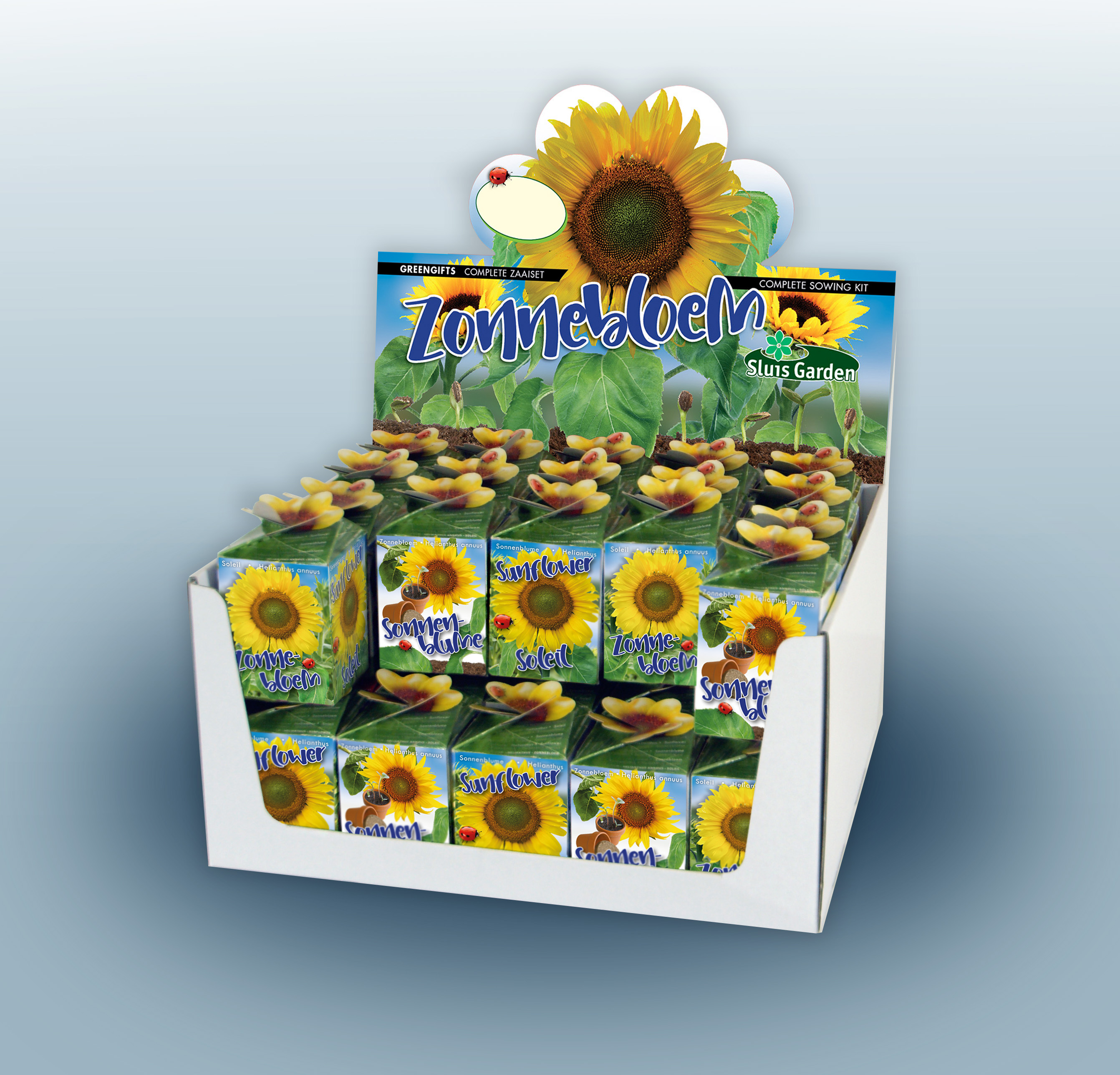 Showdoos Greengifts ZONNEBLOEM 40 stuks 7002