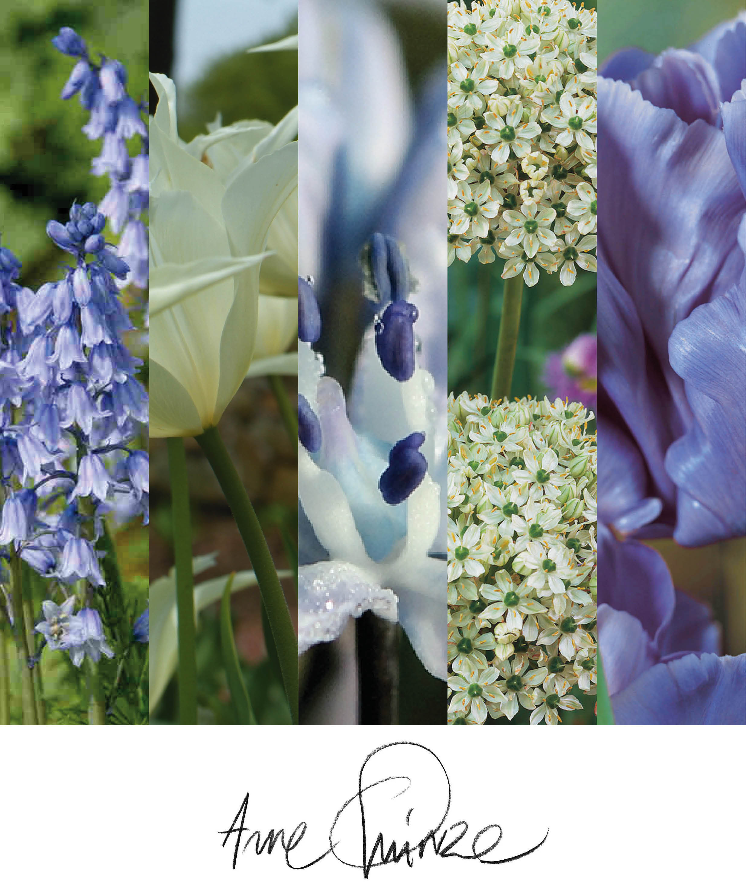 Arne Quinze Secret Garden mix 5000 bulbes