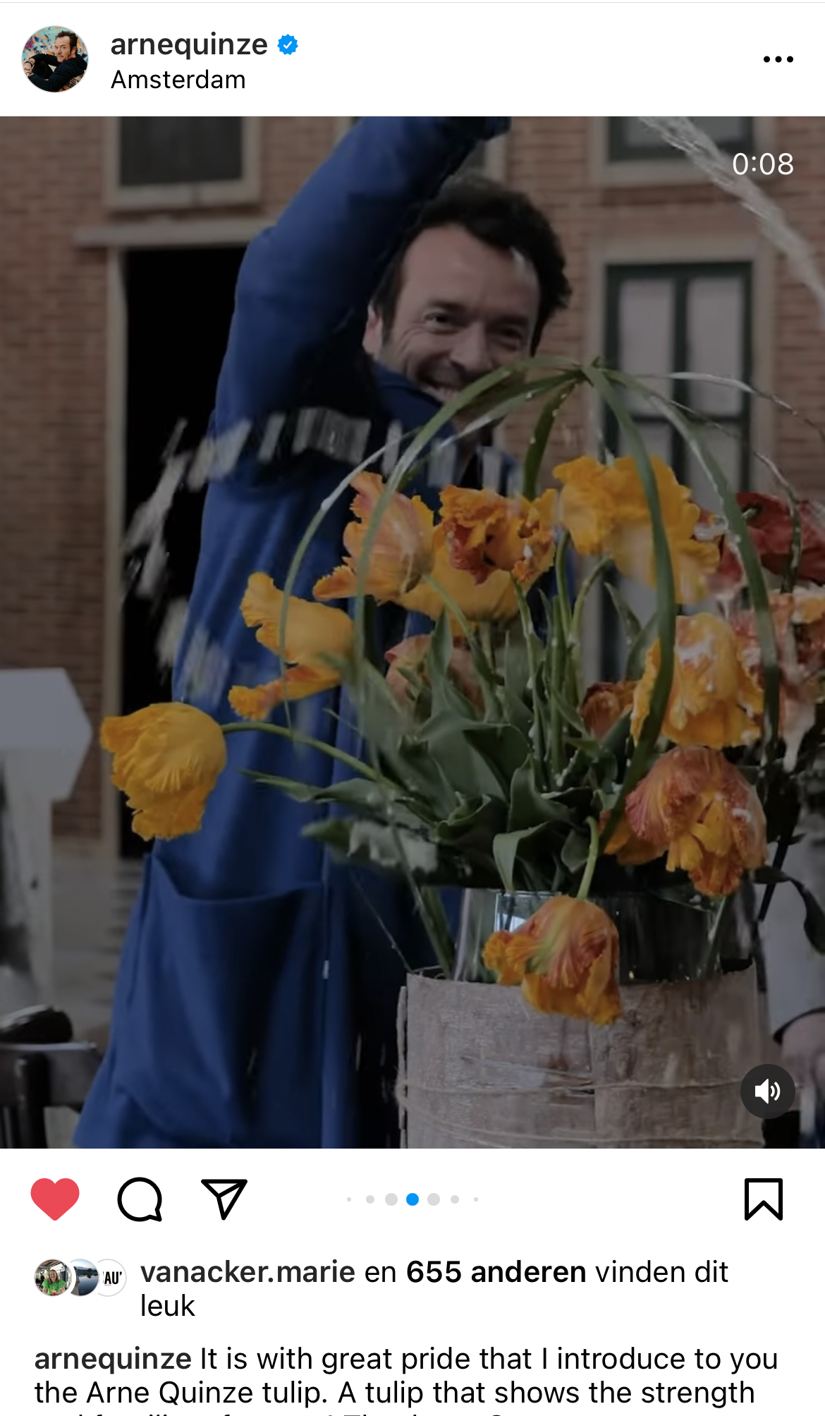 100 tulipes Arne Quinze