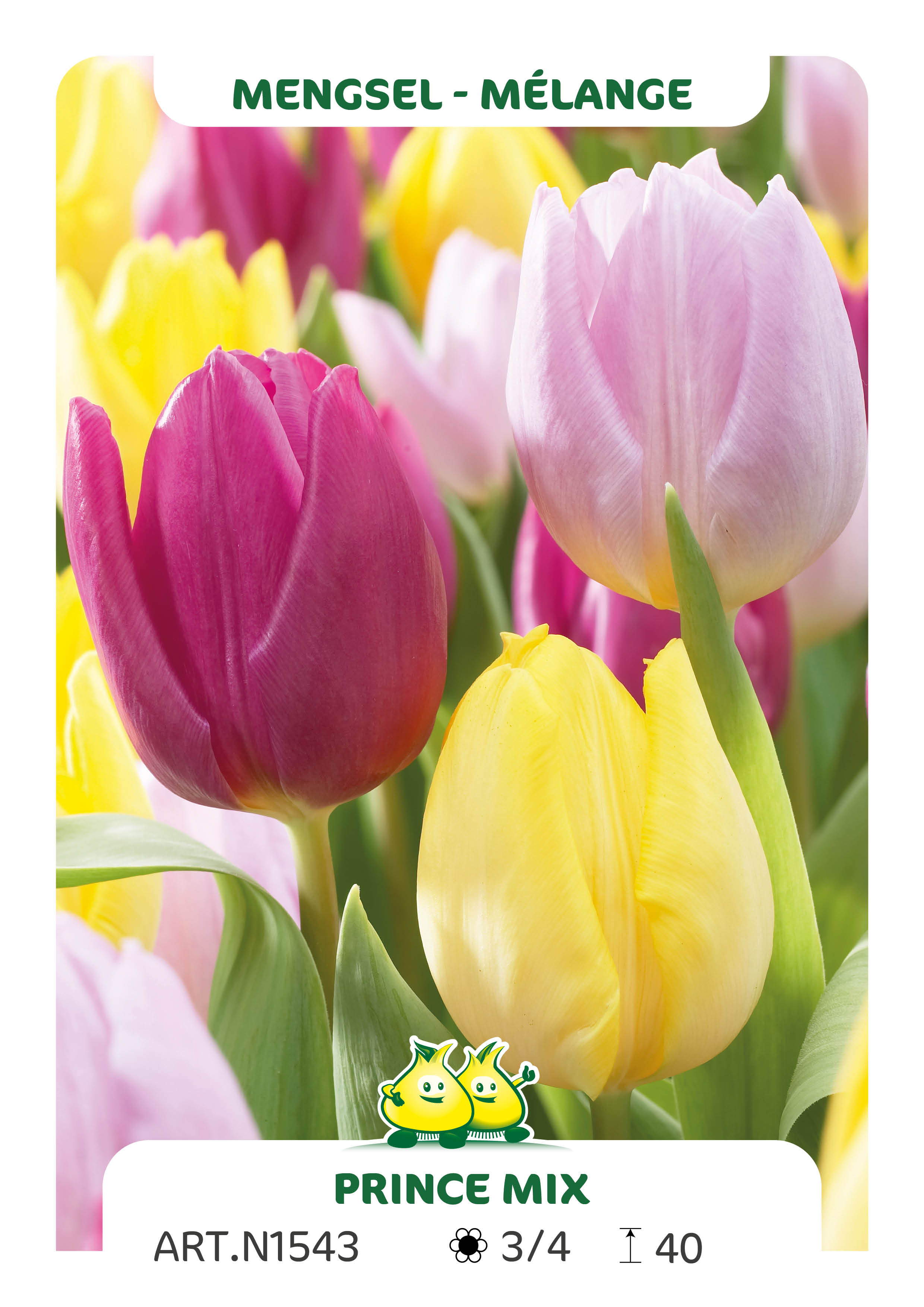 Tulp Prince Mix