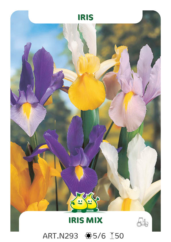 Iris Gemengd