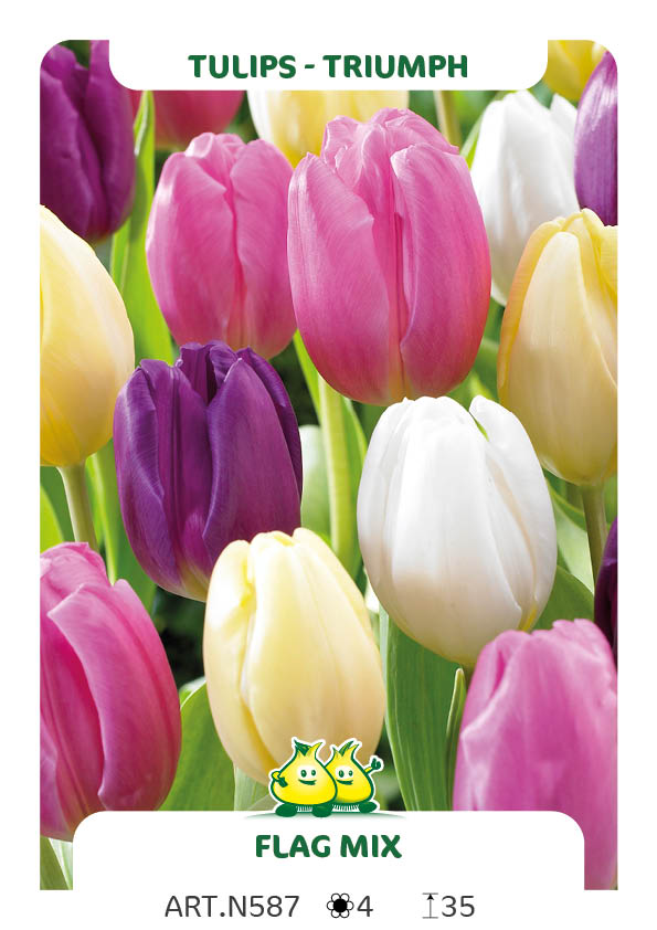 Tulpen Flag Mix