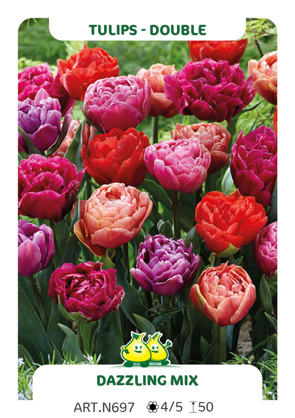 Tulp Dazzling Dubbel Mix