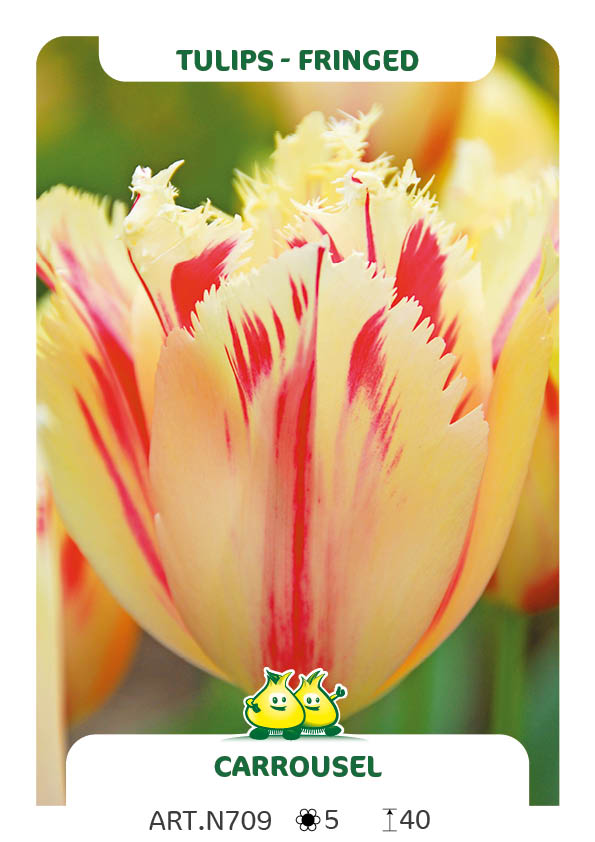 Tulp Carrousel