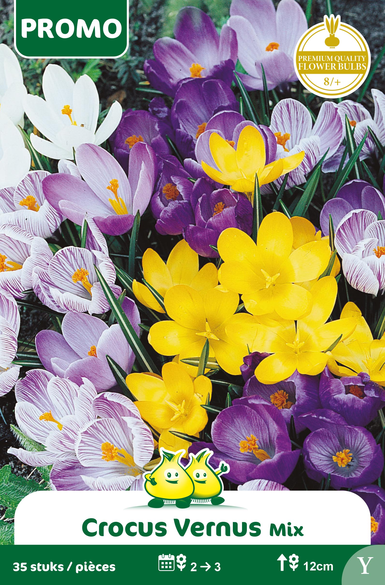 SACHET CROCUS MIX 35 ST Y