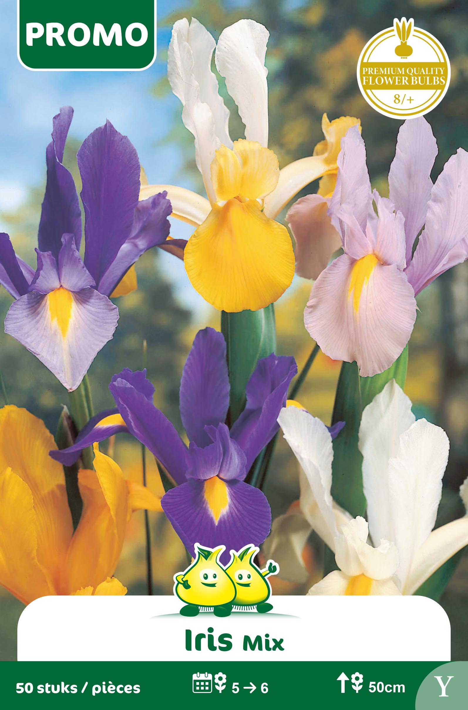 SACHET IRIS 40 ST MIX