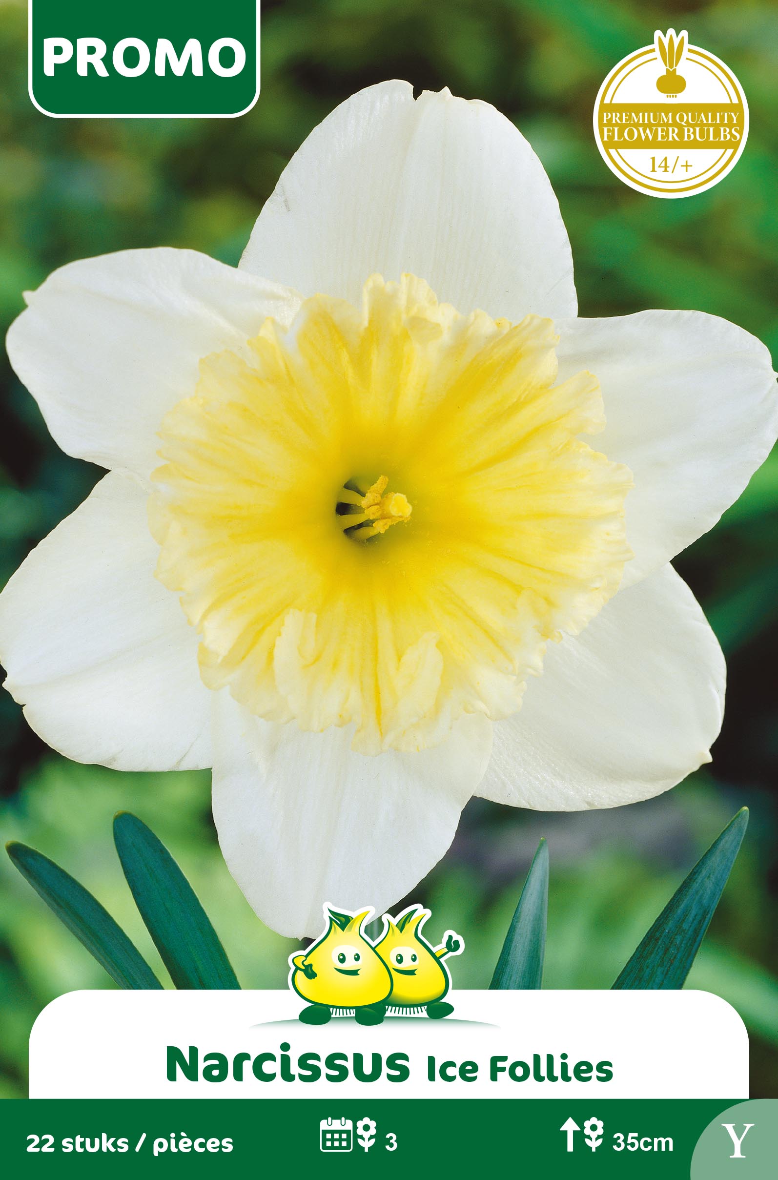 ZAKJES NARCIS 22 ST ICE FOLLIES