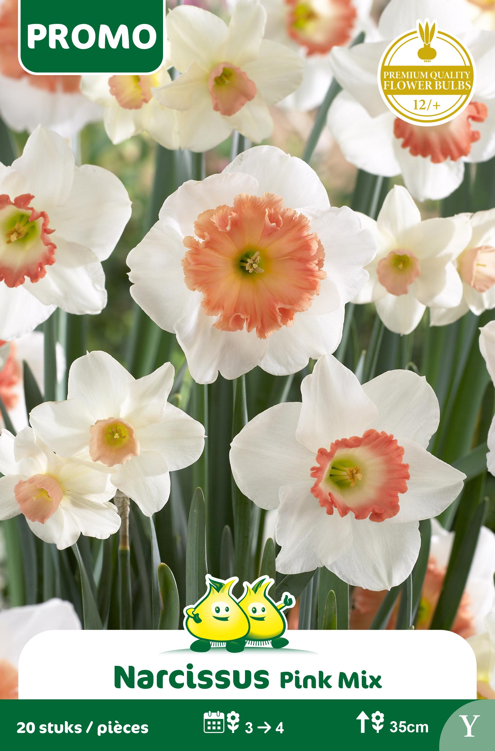 NARCIS 20 ST MIX WIT - ROZE Y