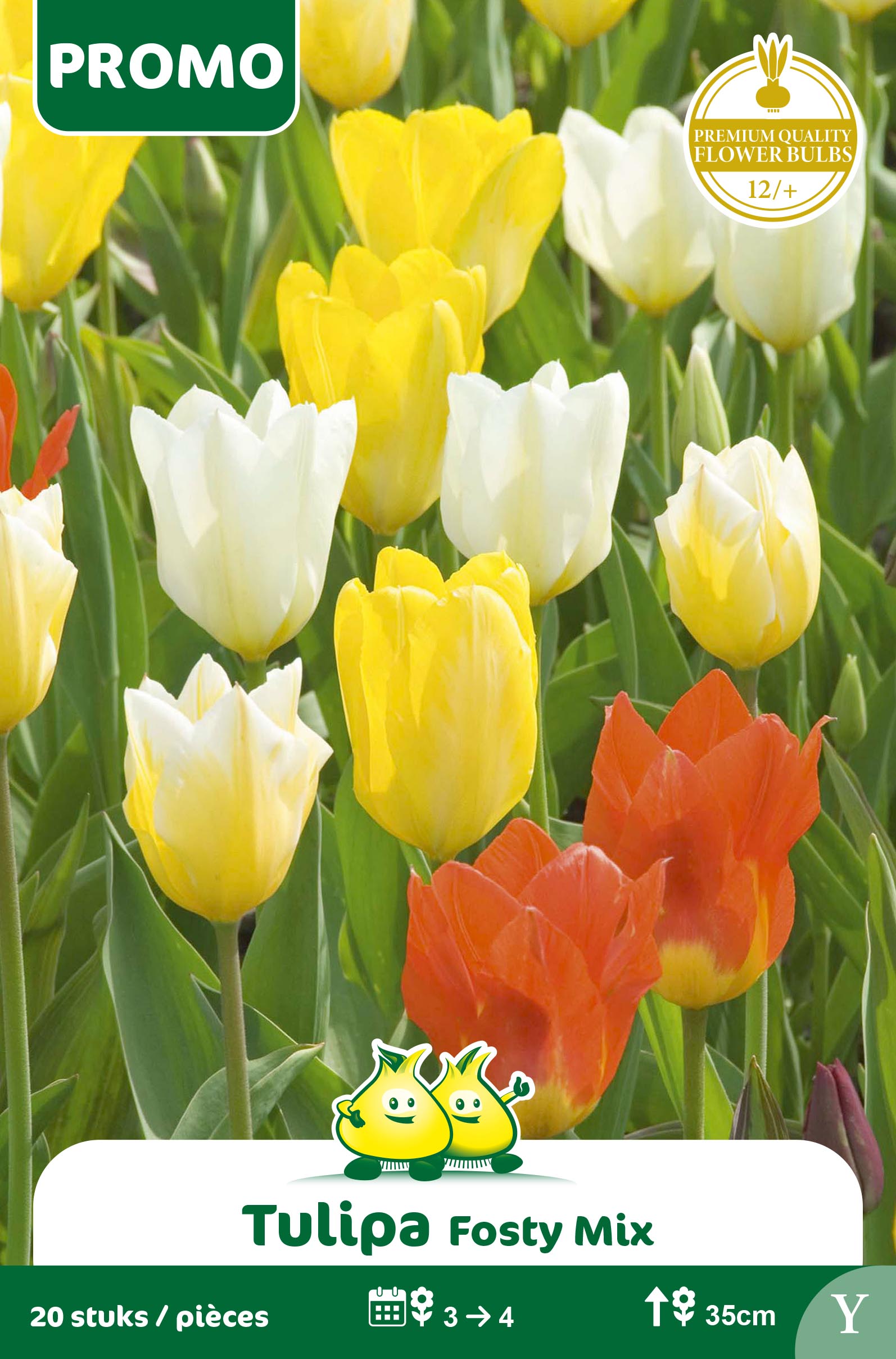 ZAKJE TULPEN FOSTY MIX 20 ST Y