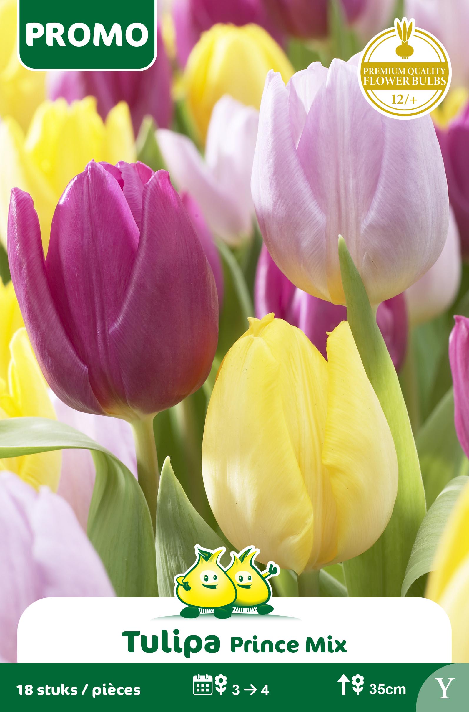 SACHET TULIPE PRINCE MIX 18p Y