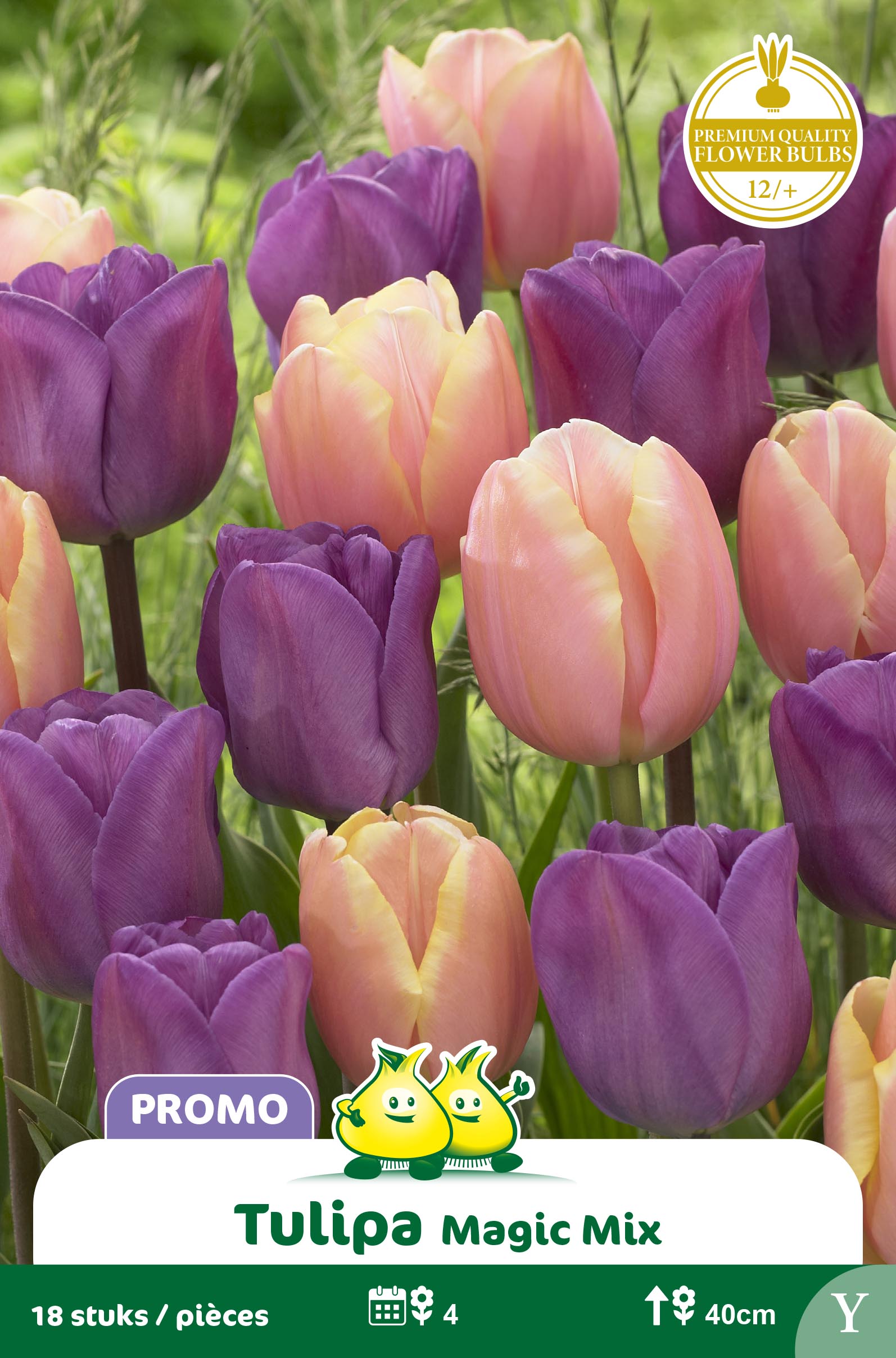 SACHET TULIPE 18 P. MAGIC MIX Y