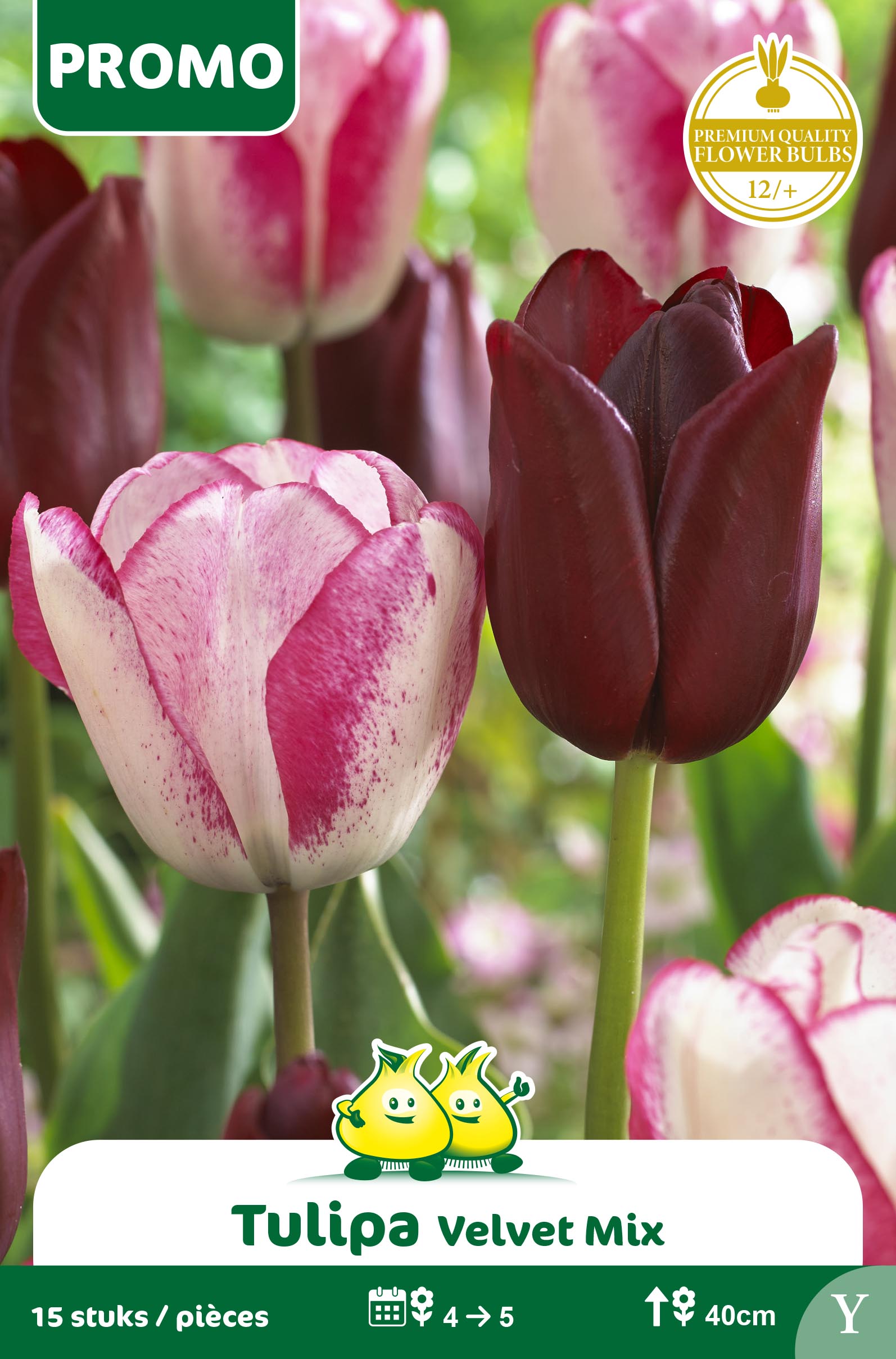 ZAKJES TULPEN 15 ST VELVET MIX